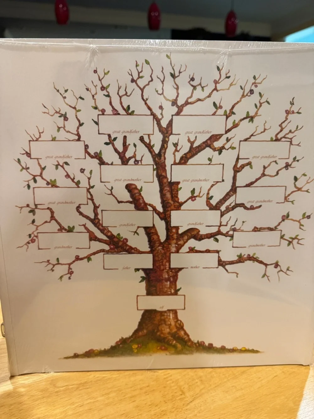 Creative Memories Family‎ Tree Album Refill Pages 12 x 12 Original White Y2K